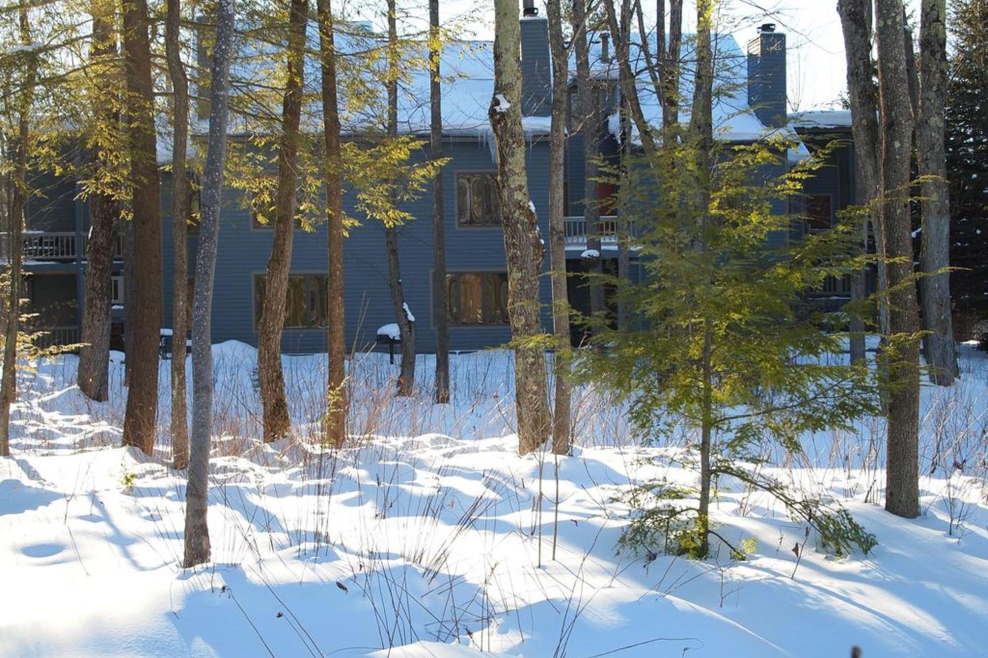 Thompsonville Wintergreen Condos חדר תמונה